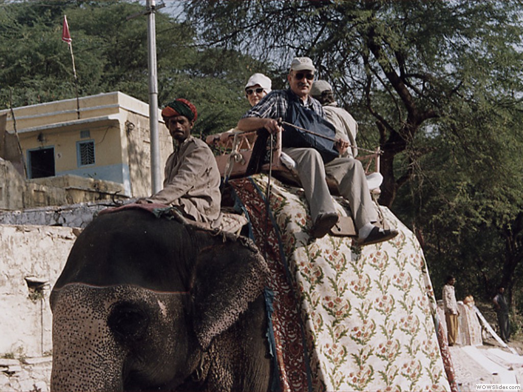 reiten kann man auch auf einem Elefanten (1999)